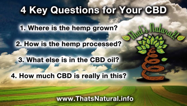 4 Key Questions to Ask about Your CBD